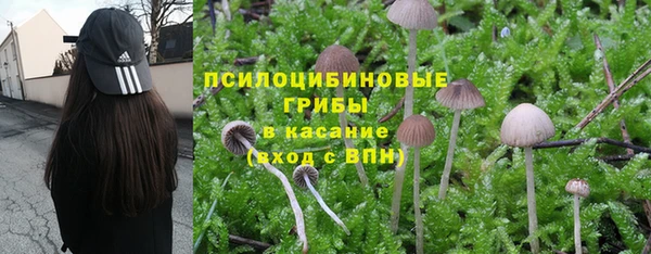 MESCALINE Баксан